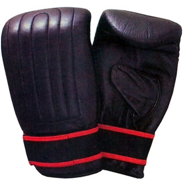 Bag & Karate Gloves