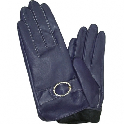 Dressing Gloves