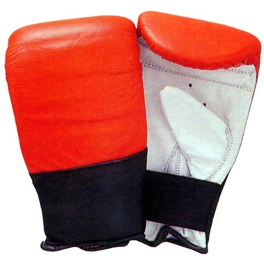 Bag & Karate Gloves